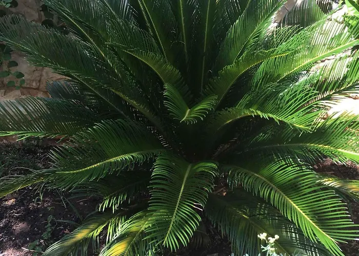 Appartement Okrug Gornji 3 *